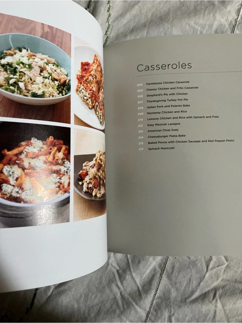 America's Test Kitchen Slow Cooker Revolution Volume 2 softcover book
